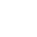 Due Diligence Report and ICO Summary